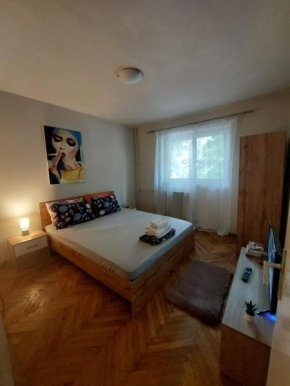The vintage apartament